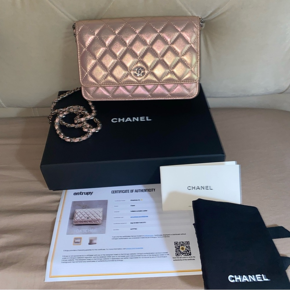 Chanel  22S Wallet on Chain  iredesent bag